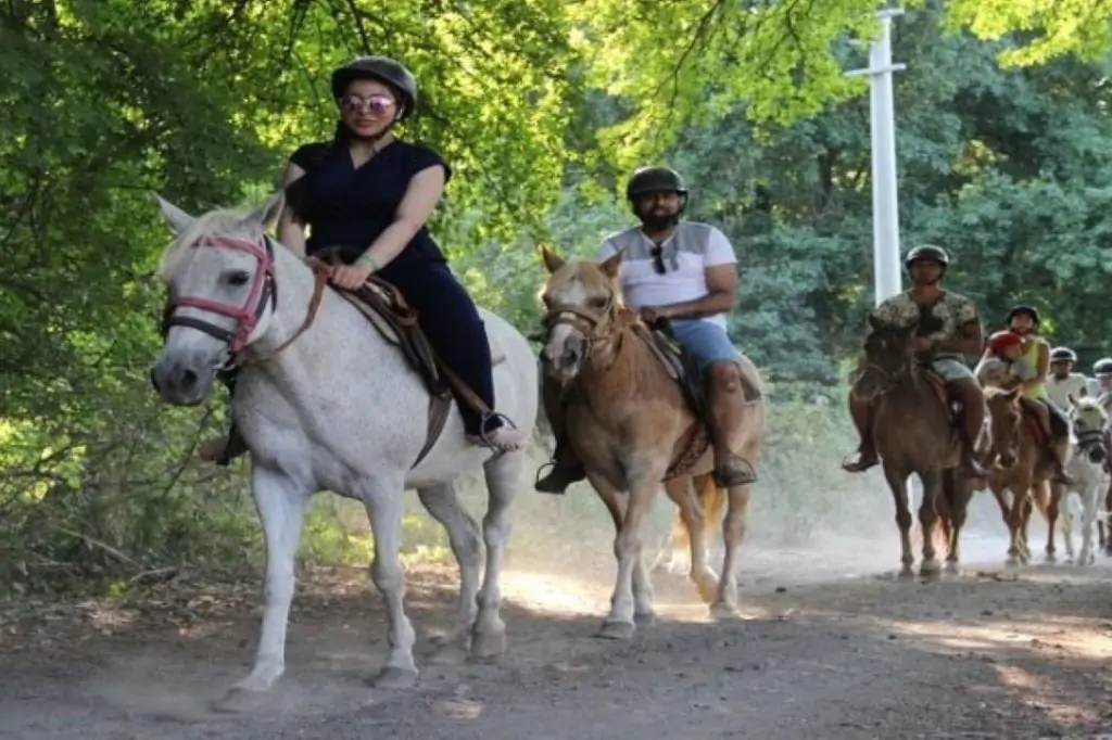 Сафари на лошадях в Кушадасы